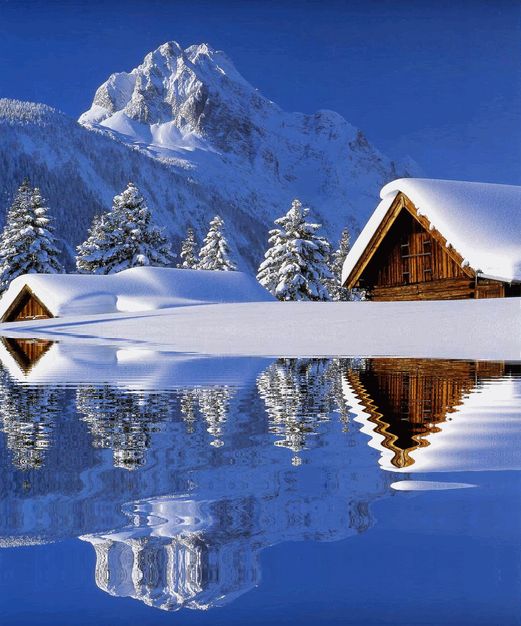Winter Snow