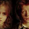 Hermione and Ron 58