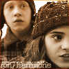 Hermione and Ron 67